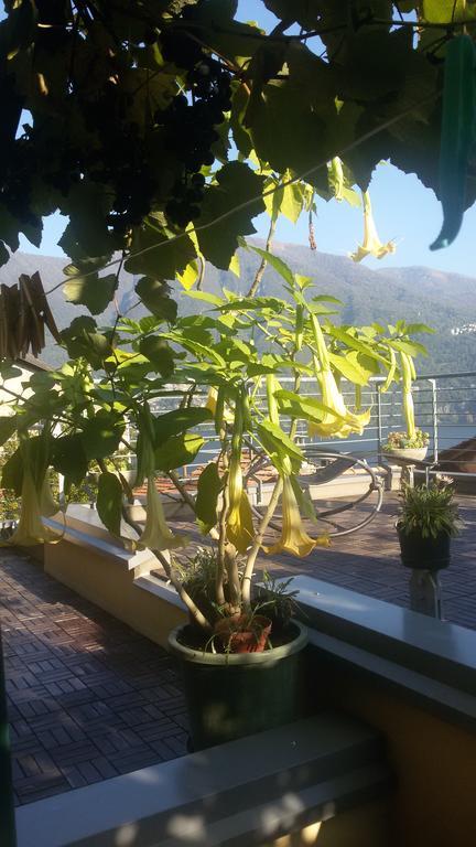 Bellavita Fossati Carate Urio Bagian luar foto
